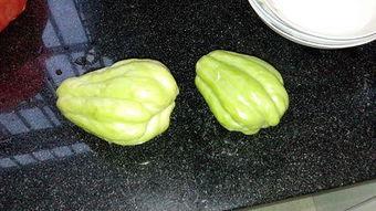 根茎可吃的瓜,探寻可食用瓜类根茎的独特风味