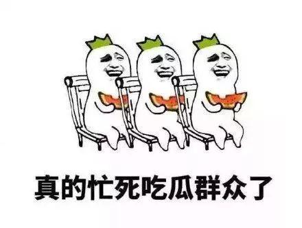 吃瓜修养,品味生活，洞察世态的智慧之道