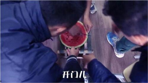 吃瓜段子搞笑句子,吃瓜段子里的欢乐时光