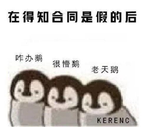 腾讯自嘲广告吃瓜,吃瓜群众围观“瓜王”诞生记