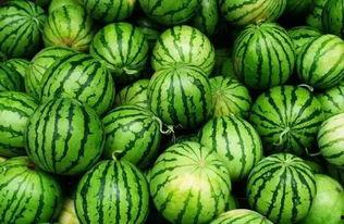 永久吃瓜群3,网络社交新现象背后的故事