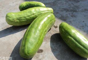 连瓜怎么吃脆瓜怎么吃,美味吃法大揭秘