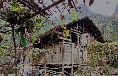 避雨吃瓜,夏日里的悠闲时光