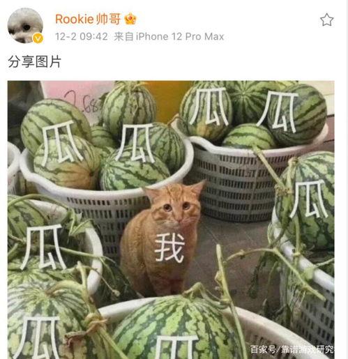 吃瓜 暗示,吃瓜群众背后的真相与秘密