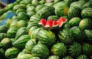 五一吃瓜网吃瓜网,揭秘五一假期热门吃瓜事件大盘点