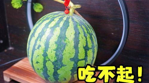 吃瓜雕刻,创意吃瓜雕刻艺术赏析