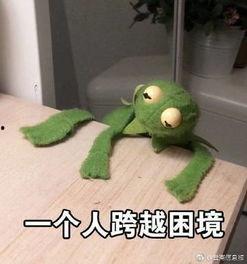 咸鱼躺着吃瓜,轻松吃瓜新姿势