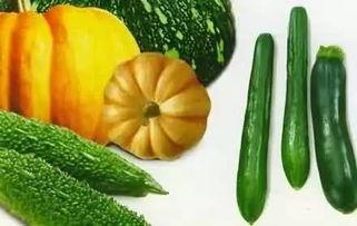 趴着吃瓜,品味生活百态