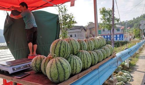徐州汉典吃瓜事件,网络舆论的风暴与反思