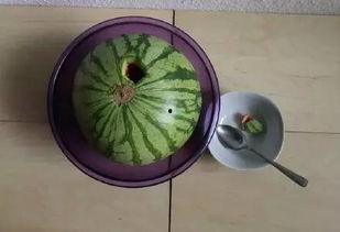 厨房菜刀吃瓜,美味生活新体验