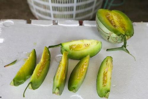 蜜瓜哪季节吃,夏季最佳品尝时光
