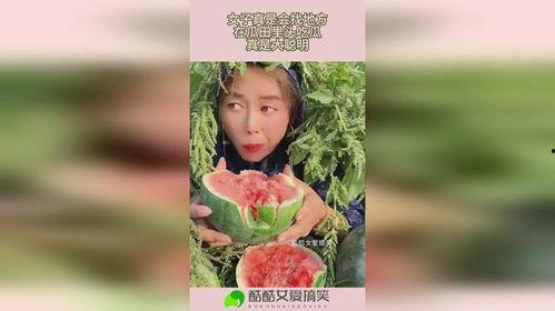 吃瓜的大聪明,揭秘娱乐圈背后的真相与智慧