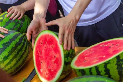 民航大学吃瓜群,揭秘校园生活那些事儿