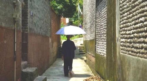 吃瓜群众岱 乌衣巷,揭秘吃瓜群众岱的八卦传奇