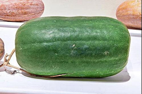 吃瓜生活2,揭秘娱乐圈背后的故事与真相