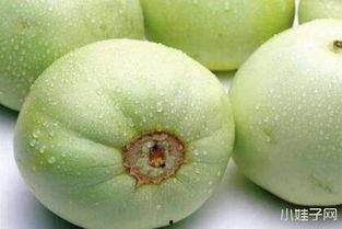 吃田瓜腹泻,探究吃田瓜引发腹泻的原因及预防措施