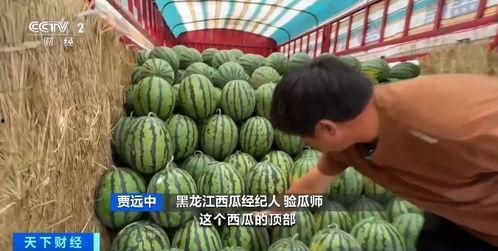 今年吃瓜状态,盘点那些让人捧腹大笑的瓜界风云