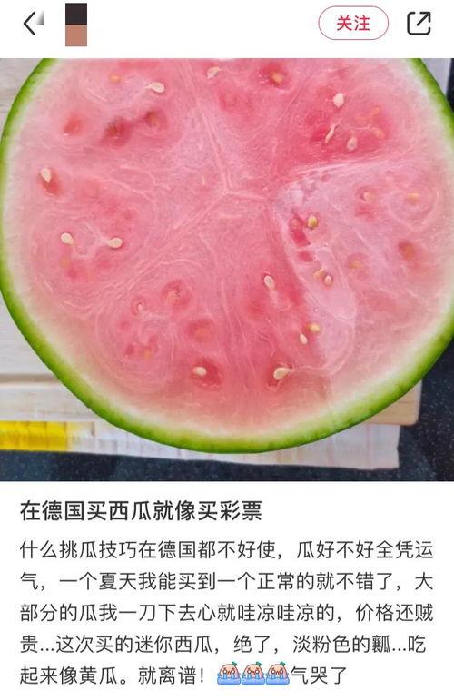 全网最全的吃瓜,揭秘娱乐圈幕后真相，带你领略八卦风云