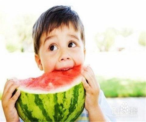 奶宝妹纸吃瓜,奶宝妹纸的瓜田奇遇记