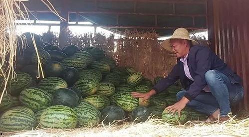 最新吃瓜李,娱乐圈风云再起