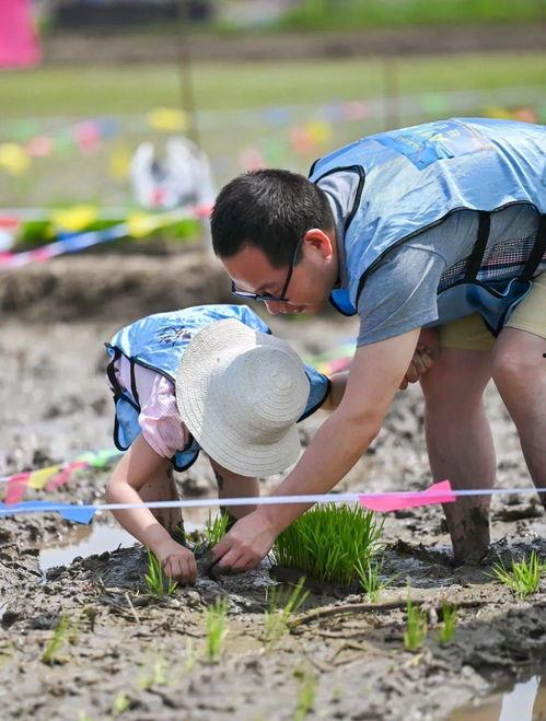 蒙着眼吃瓜,揭秘神秘美食的奇妙之旅