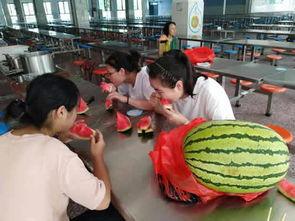 午餐吃瓜的群众